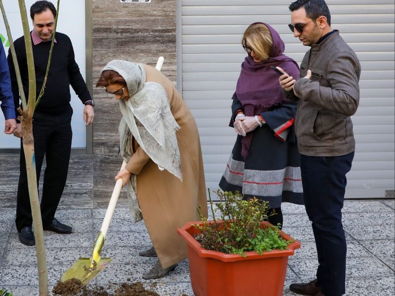 nahaleh naraqi celebrated arbor day